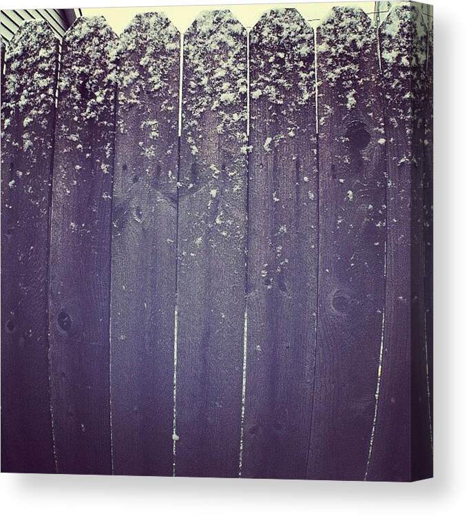 Chitodayjan Canvas Print featuring the photograph Ice Cold: Snow Gradient #chitodayjan by Beth Cole