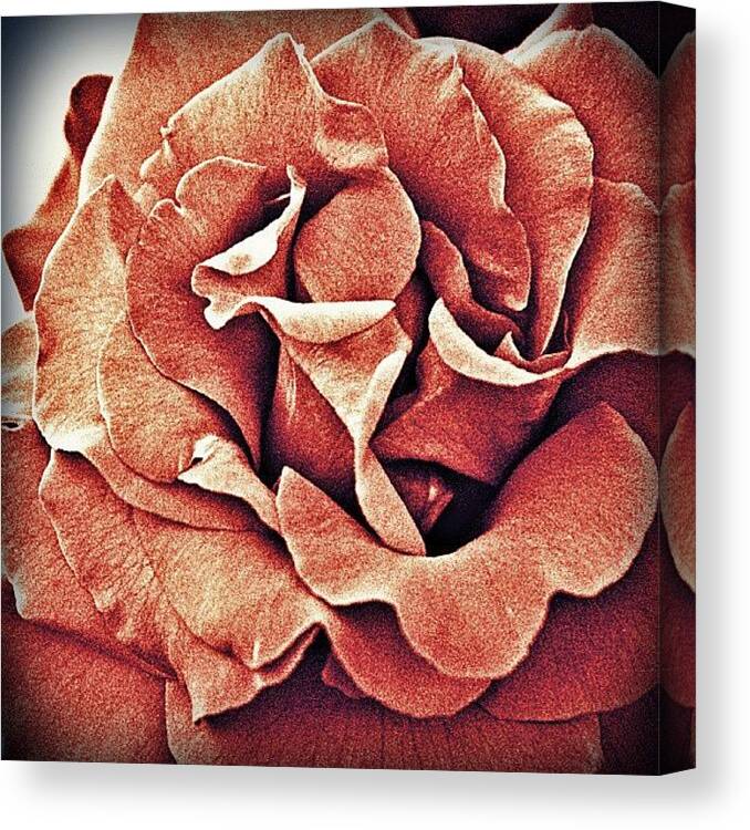 Naturalbeauty Canvas Print featuring the photograph I'm Going Back To Flower Pictures by Dalan Swenson