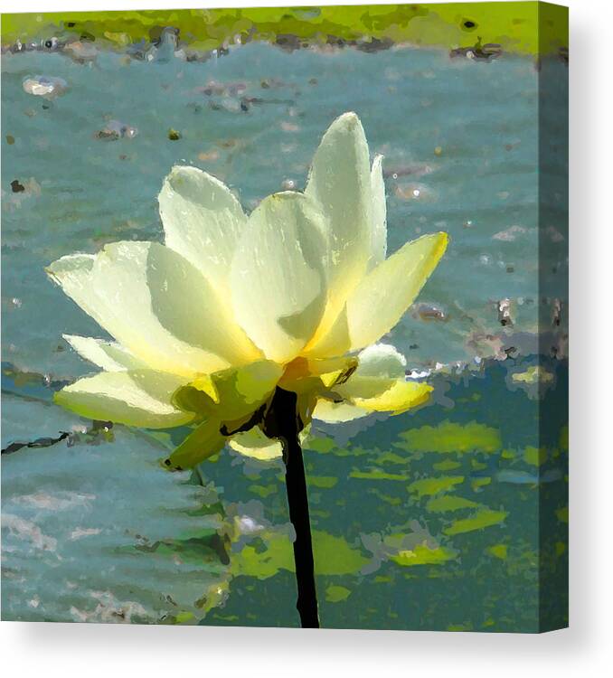 Lotus Canvas Print featuring the photograph Imitation by John Freidenberg