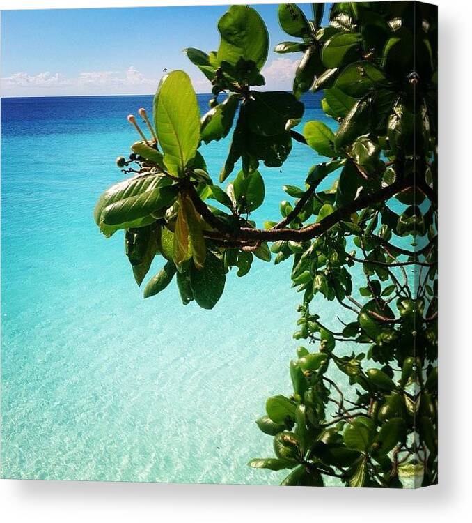 Sole Canvas Print featuring the photograph Indian Ocean
#instacool #instagood by Luca Gaudenzi