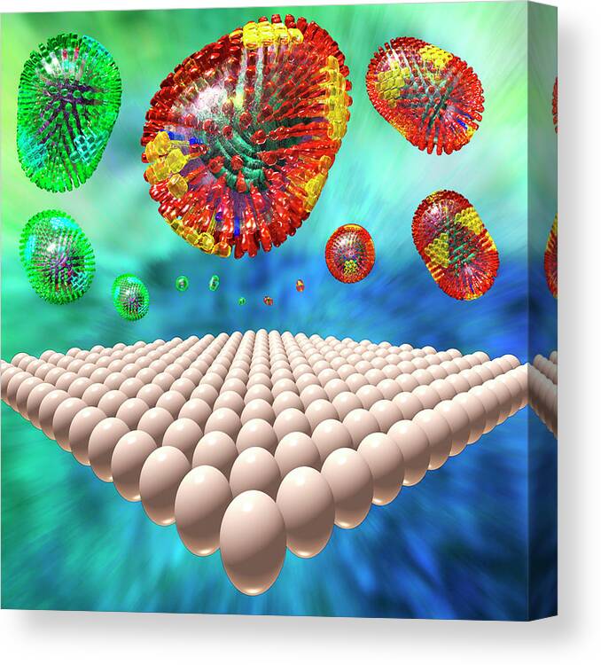 Egg Canvas Print featuring the photograph Influenza Vaccine Manufacture In Eggs by Russell Kightley/science Photo Library