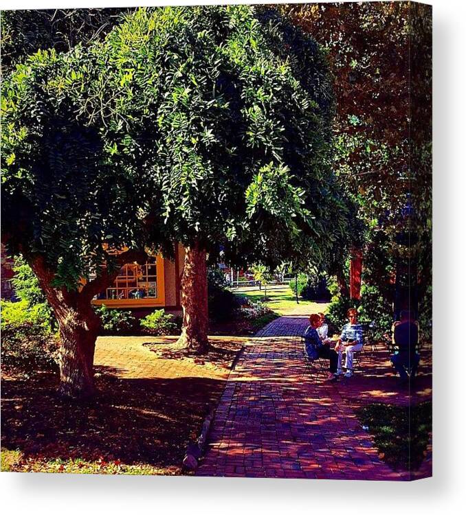 Beautiful Canvas Print featuring the photograph #instaprints #trees #outdoors by Jamie Brown