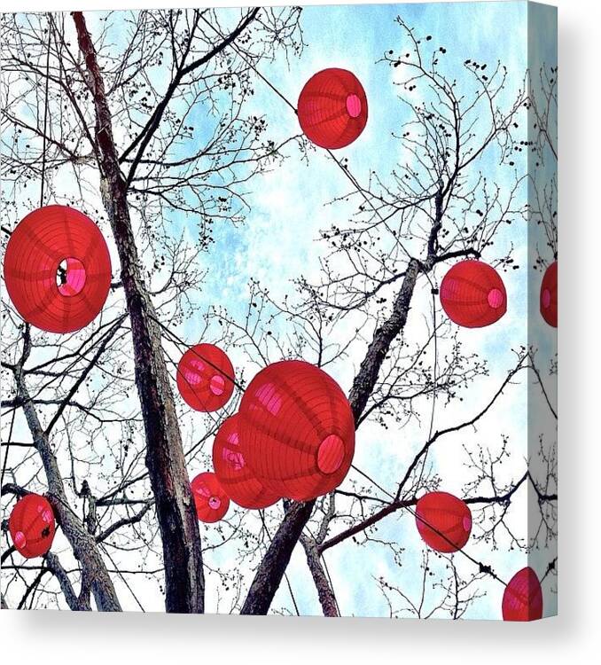 Redthursday_circles Canvas Print featuring the photograph Look Up by Julie Gebhardt