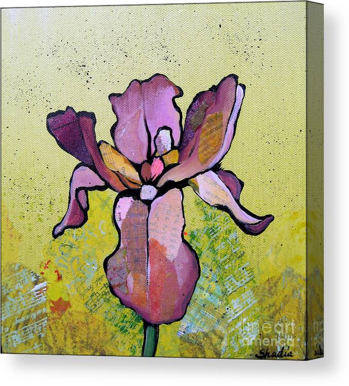 Flower Canvas Print featuring the painting Iris II by Shadia Derbyshire