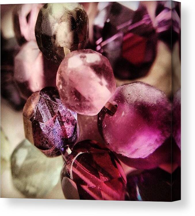 Closeups Canvas Print featuring the photograph Jewels by Nic Squirrell