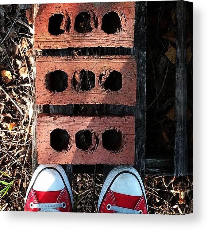 Jj_anythinginthrees Canvas Print featuring the photograph #jj_anythinginthrees by Angela Davis