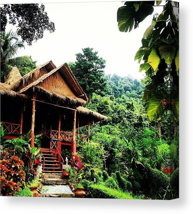  Canvas Print featuring the photograph Jungle Bar. Koh Chang, Thailand. July by Sketch Jones