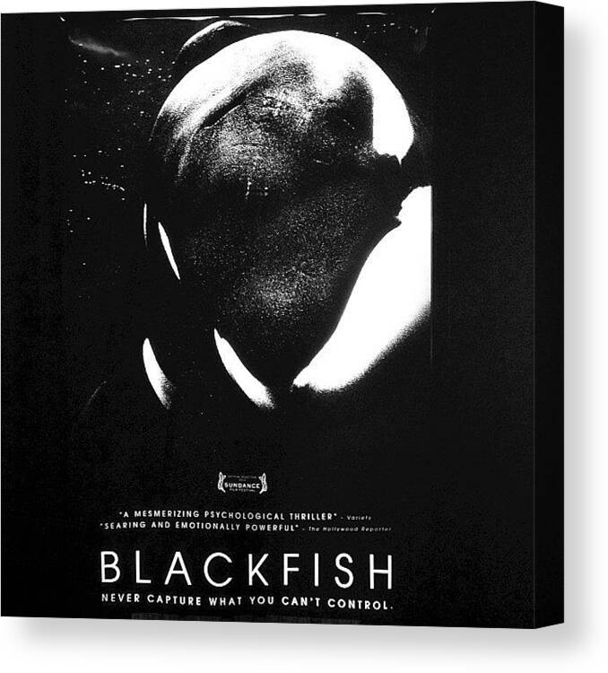 Blackfish Canvas Print featuring the photograph Just Saw The Documentary #blackfish, I by Bryan Vargas