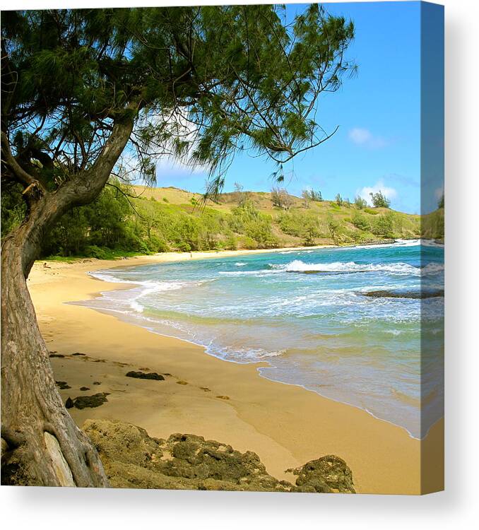 Tree Canvas Print featuring the photograph Kauai Beach by Sue Morris