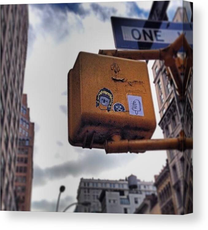 Exploring Canvas Print featuring the photograph Koala Chief #sticker #travel #newyork by Emily Hames