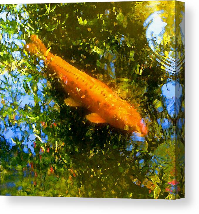 Animal Canvas Print featuring the painting Koi Fish 1 by Amy Vangsgard