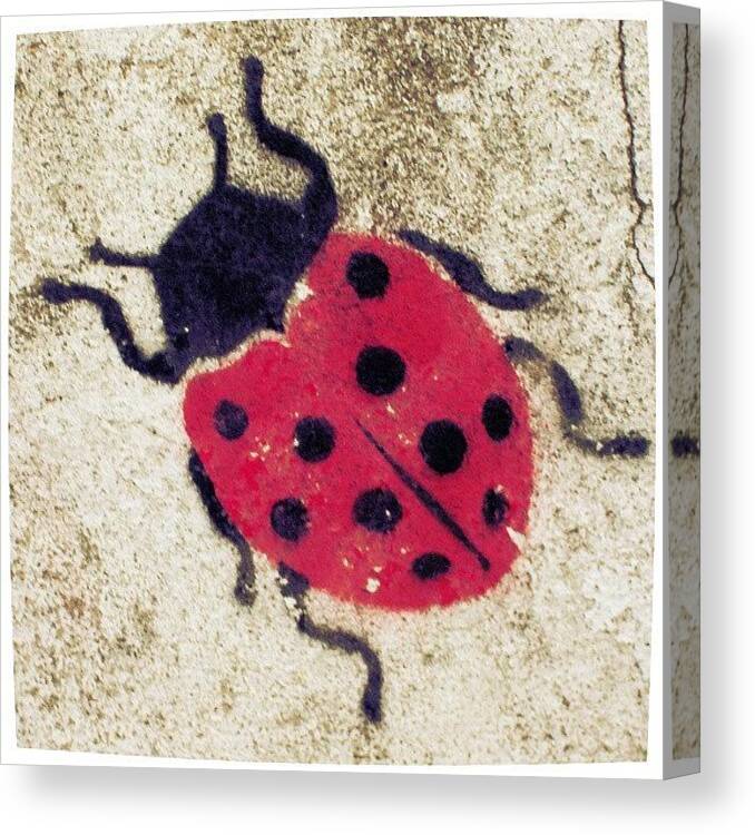 Beautiful Canvas Print featuring the photograph #ladybug #life #love #spring #tattoos by Juan Parafiniuk