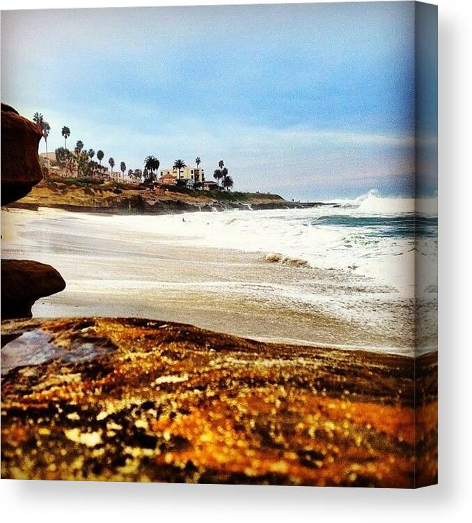 Igers Canvas Print featuring the photograph #lajolla #sd #greattobeback #sandiego by Thewinery Wine