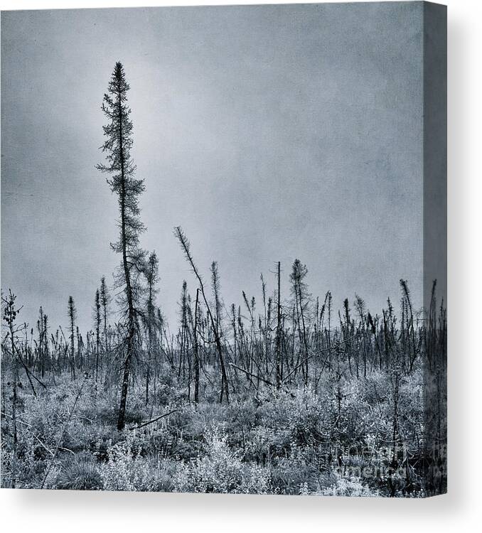  Canvas Print featuring the photograph Land Shapes 21 by Priska Wettstein