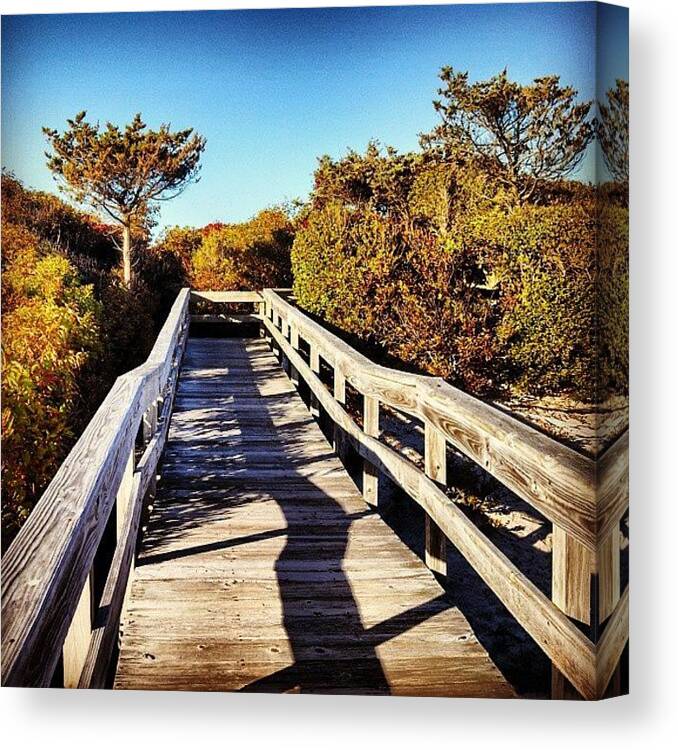 Scenery Canvas Print featuring the photograph Late Afternoon Light by Rachel Waters