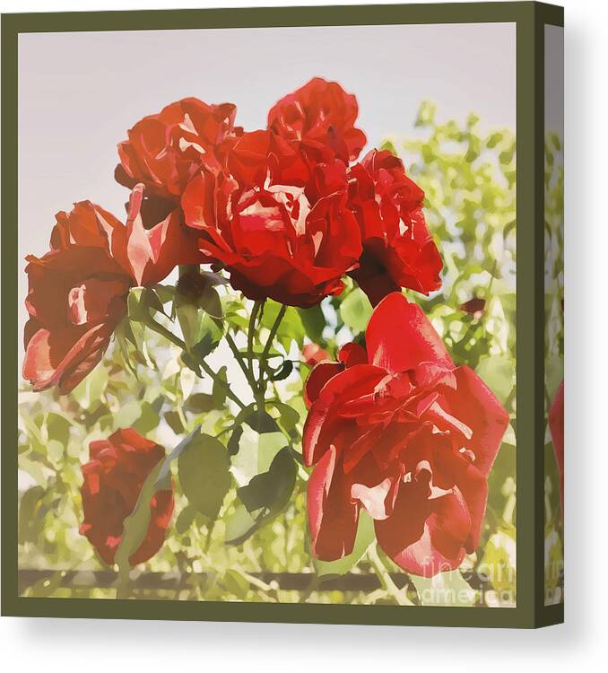 Red Canvas Print featuring the photograph Late Summer Roses - Dreamy by Maria Janicki