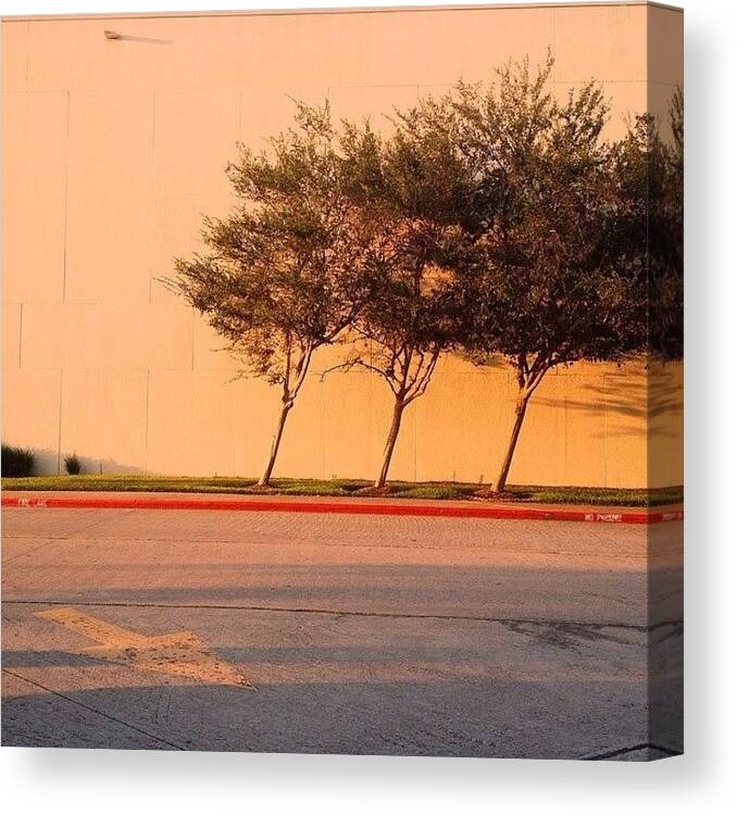 Igofhouston Canvas Print featuring the photograph Lateral Flexion.

#sunsettoday by Escapist's Alley