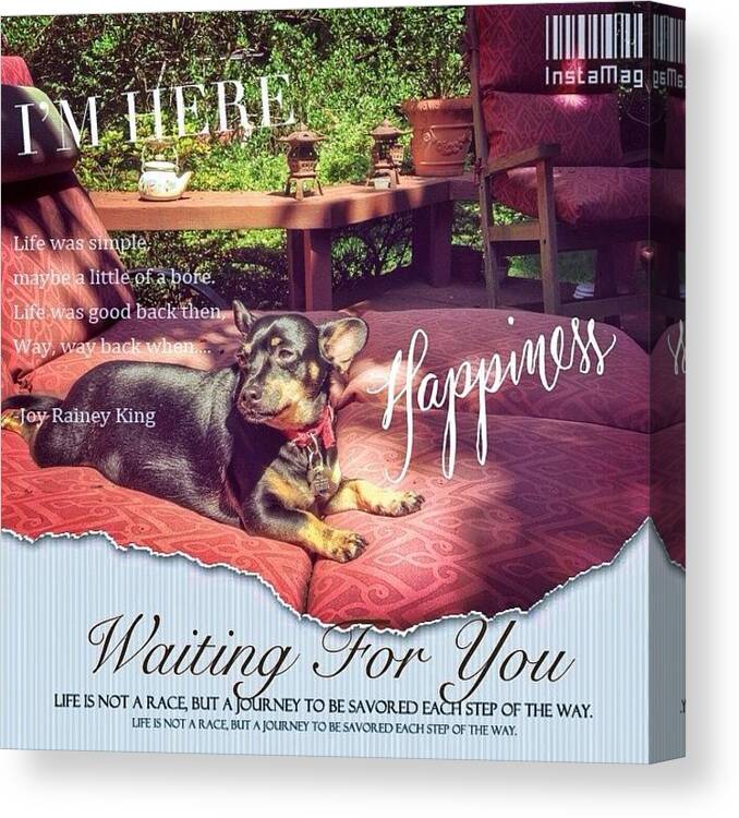 Petstagram Canvas Print featuring the photograph Lazy Days Of Summer ... Pepper Pup by Anna Porter