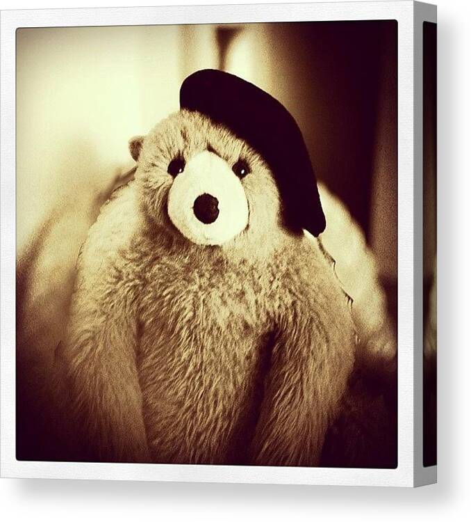 Canvas Print featuring the photograph Le Bear In Le Beret by Paul Cutright