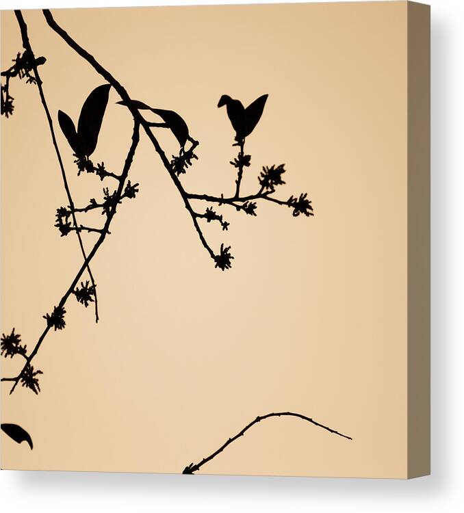 Art Canvas Print featuring the photograph Leaf Birds by Darryl Dalton