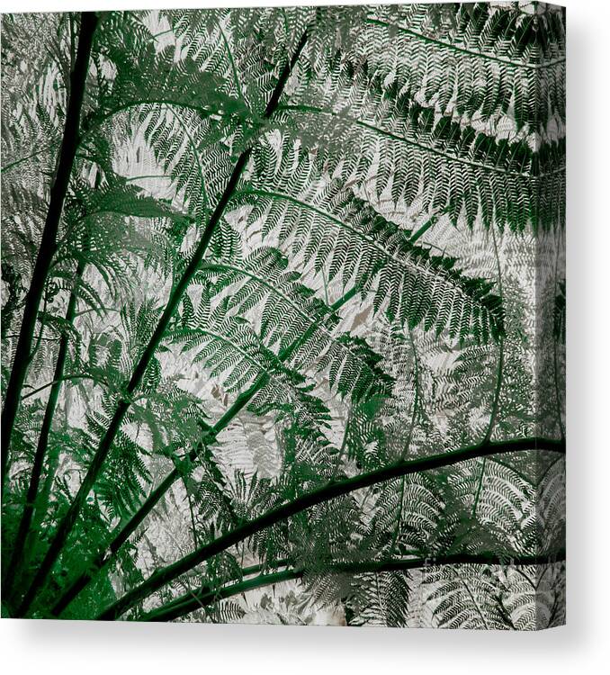 Ferns Canvas Print featuring the photograph Leaf Pattern 306 by Jim Swallow