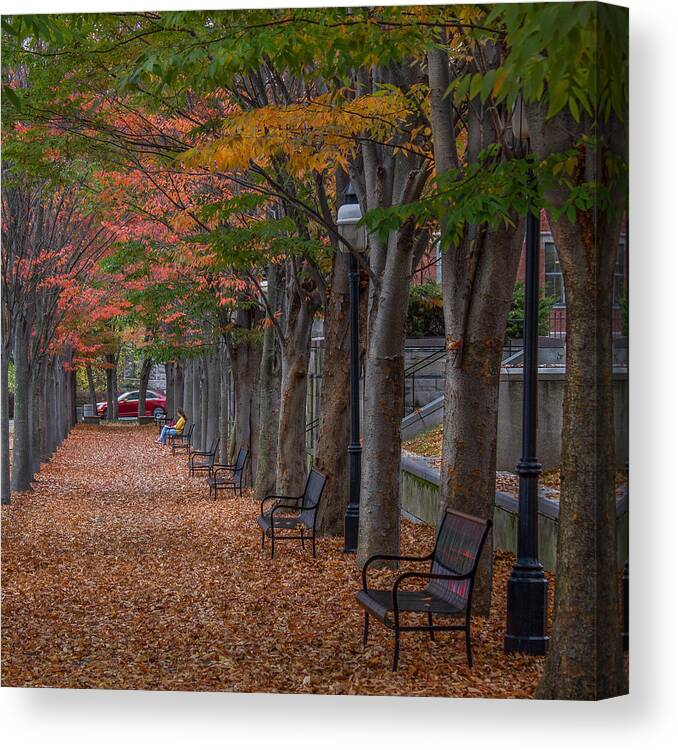 Fall Canvas Print featuring the photograph Leaving by Glenn DiPaola