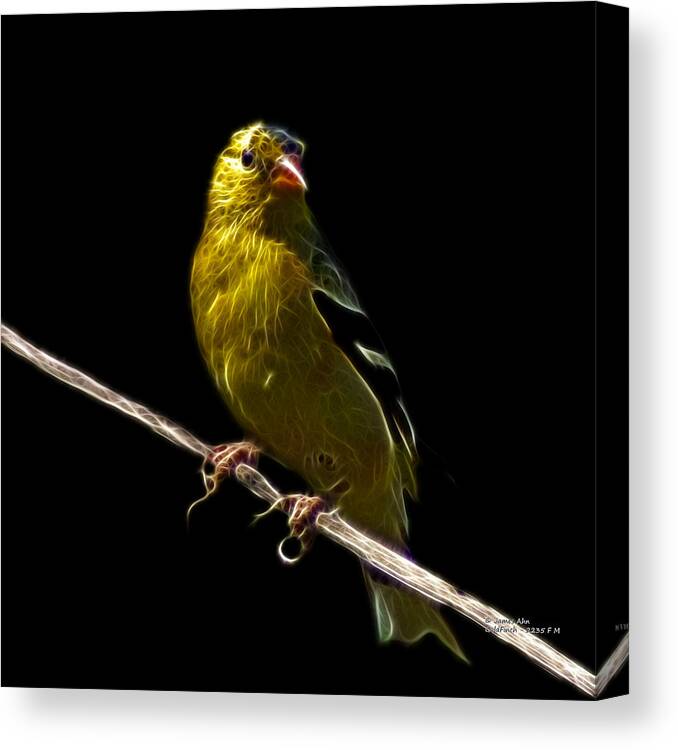 Goldfinch Canvas Print featuring the digital art Lesser Goldfinch - 2235 F by James Ahn