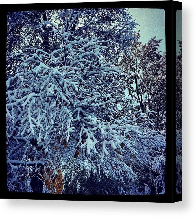  Canvas Print featuring the photograph Let It Snow! by James Gaskill
