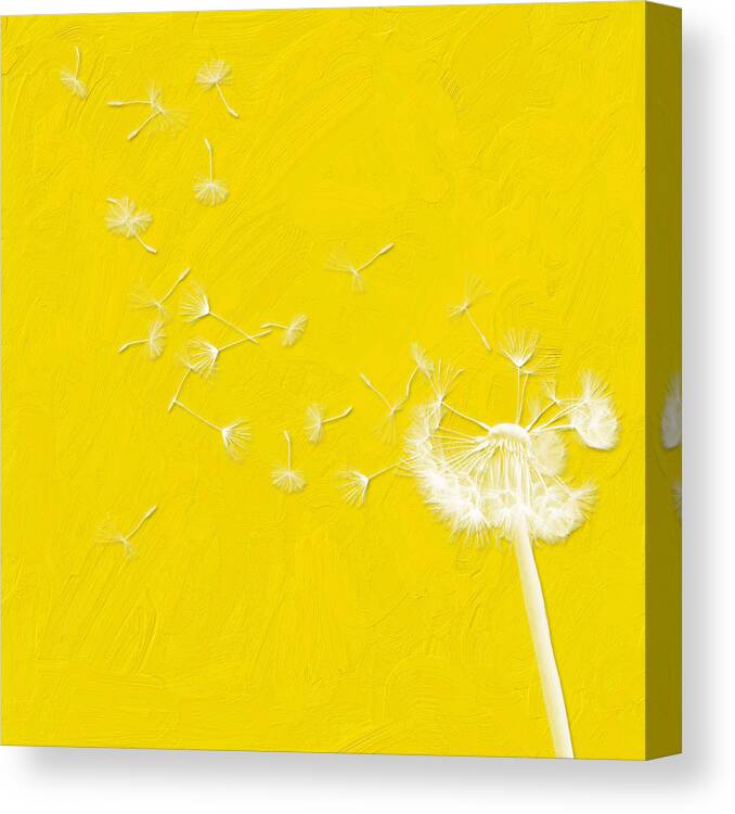 Dandelions Canvas Print featuring the painting Let's Make Another Wish by Bonnie Bruno