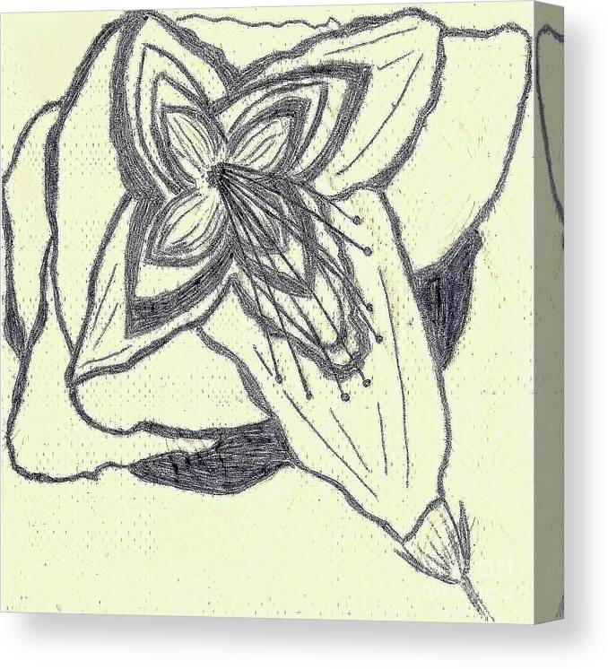 Southern Canvas Print featuring the drawing Lilly Artistic Doodling Drawing by Joseph Baril