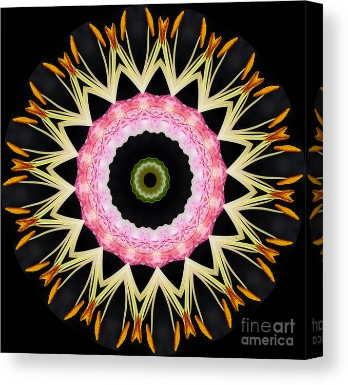 Lily Canvas Print featuring the photograph Lily Explosion by Patty Colabuono