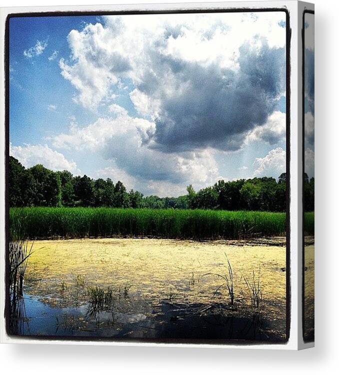 Lincoln Marsh Canvas Print featuring the photograph Lincoln Marsh by Dwight Darling