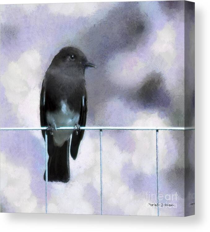 Azz Canvas Print featuring the digital art Little Black Phoebe by Rhonda Strickland