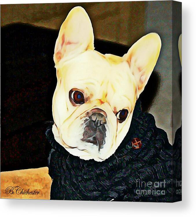 French Canvas Print featuring the painting Little Black Sweater by Barbara Chichester