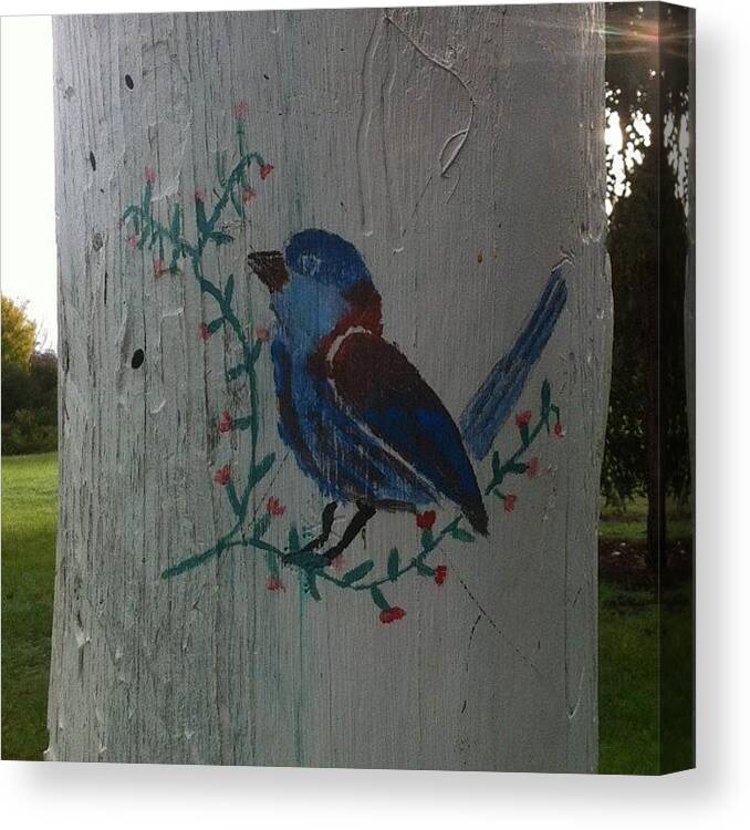 Westernaustralia Canvas Print featuring the photograph Little Blue Bird! Every Light Post In by Kristie Brown