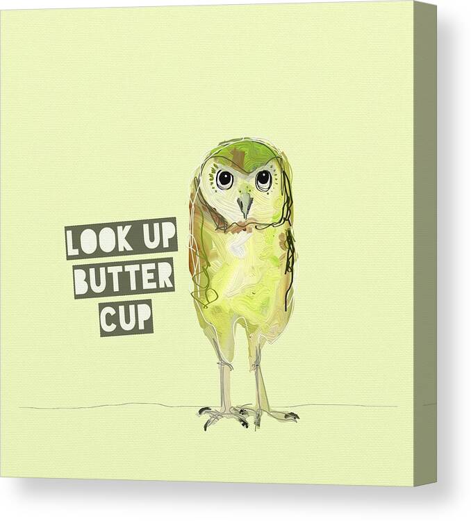 Owl Canvas Print featuring the photograph Look up butter cup by Cathy Walters