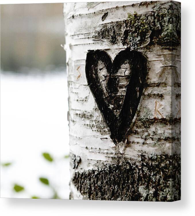 Heart Canvas Print featuring the photograph Love you forever by Yvonne Haugen