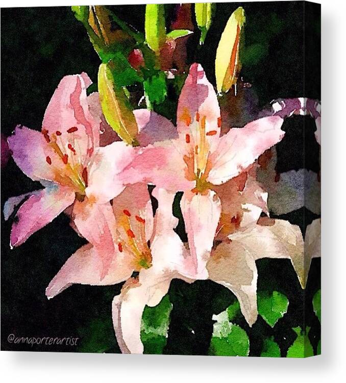 Flowers Canvas Print featuring the photograph Lovely Lilies digital painting by Anna Porter