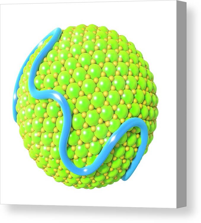 3-dimensional Canvas Print featuring the photograph Low-density Lipoprotein by Maurizio De Angelis