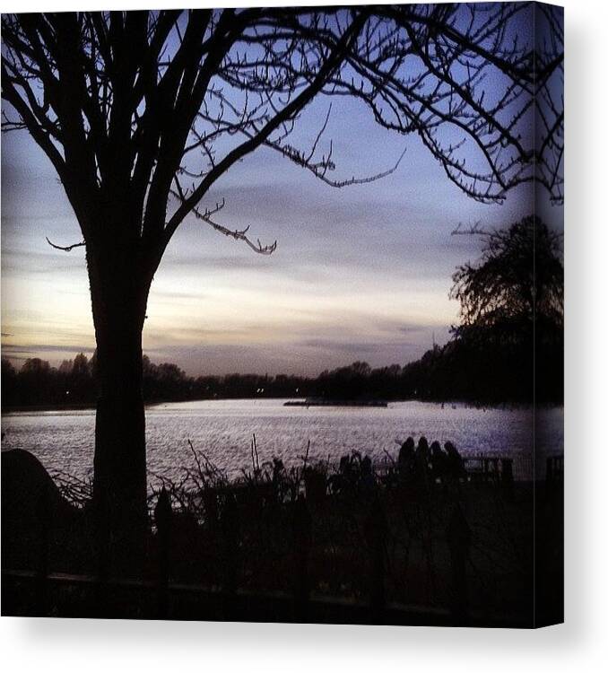 Hydepark Canvas Print featuring the photograph Lush #hydepark #london #evening #sunset by Sam Rees-williams