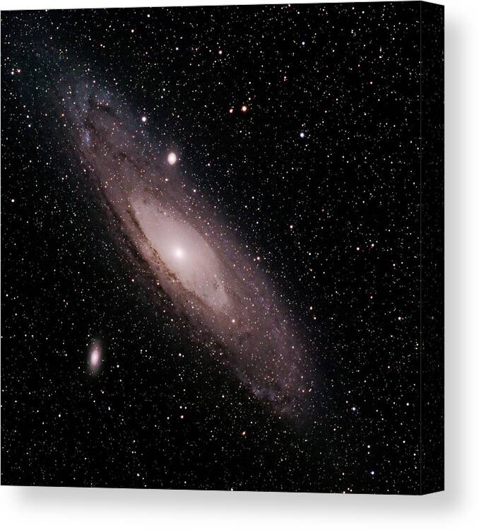 New Mexico Canvas Print featuring the photograph M 31, The Andromeda Galaxy by A. V. Ley