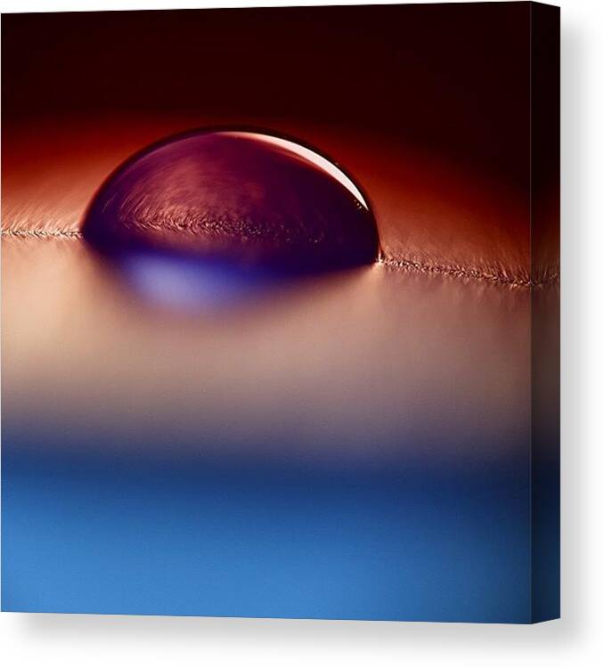 Blue Canvas Print featuring the photograph #macro #water #drop #red #white #blue by Aleksandar Misovic