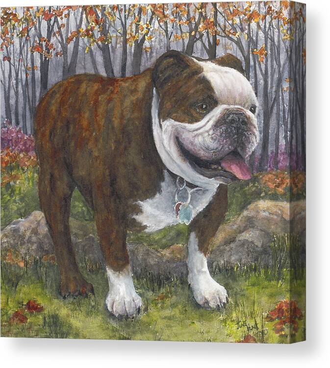 Pet Canvas Print featuring the painting Maggie by June Hunt