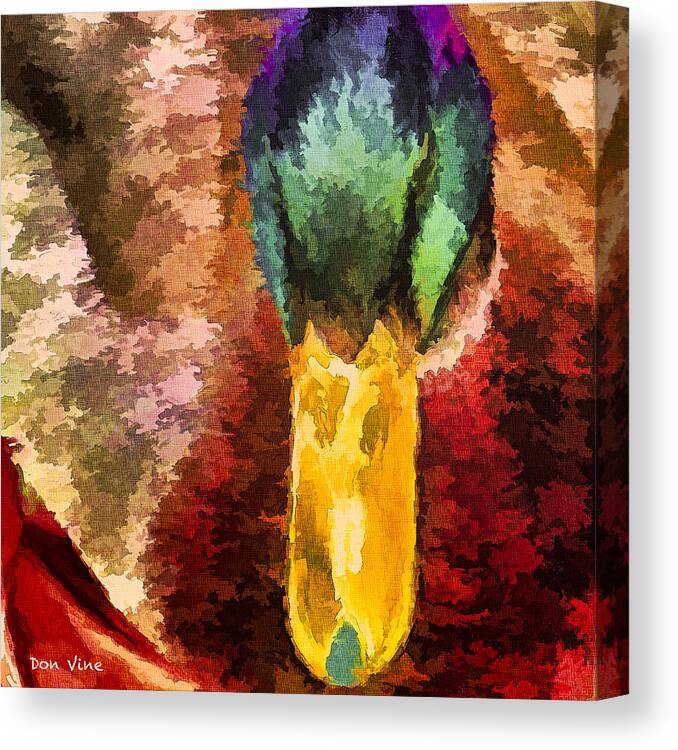 Abstract Canvas Print featuring the photograph Mallard Patterns by Don Vine