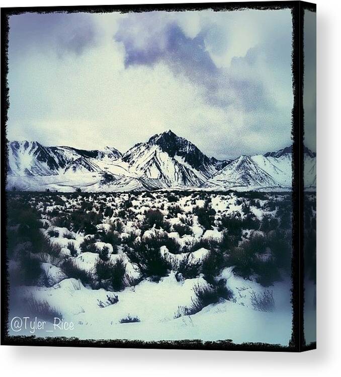 Mountains Canvas Print featuring the photograph Mammoth- Winter Of 2013 by Tyler Rice