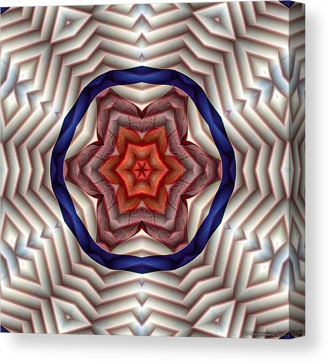 Relaxing Pattern Canvas Print featuring the digital art Mandala 12 by Terry Reynoldson