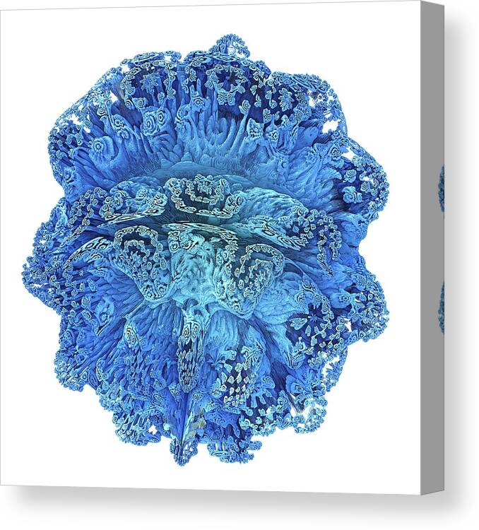 3 Dimensional Canvas Print featuring the photograph Mandelbulb Fractal by Alfred Pasieka