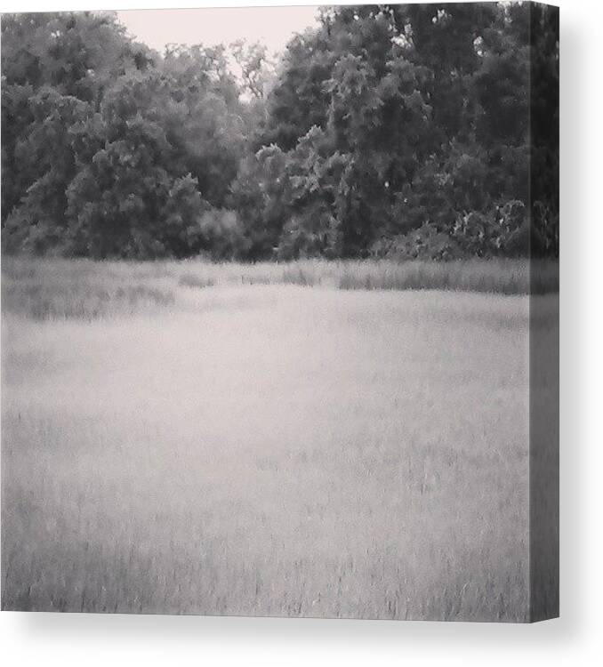 Marsh Canvas Print featuring the photograph Marsh by Megan Mjaatvedt
