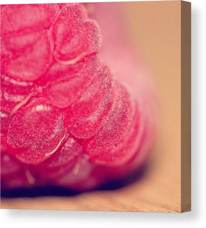 Yummy Canvas Print featuring the photograph May 21st #macromay @shutterbagusa by Unique Louise