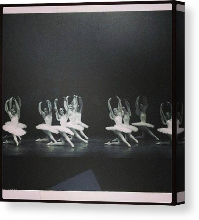 Lizmoss Canvas Print featuring the photograph Me And The Old Crew Doing La Bayadere by Marisa Fiore